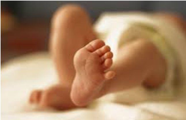 kolkata news दो साल के शिशु की हत्या के आरोप में सौतेला पिता गिरफ्तार