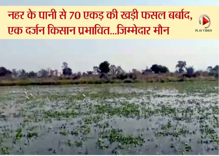 canal ruptured due, negligence of irrigation depar पनागर में बायें तट नहर फटी, 70 एकड़ की फसल खराब, दर्जनभर किसान प्रभावित-देखें लाइव वीडियो