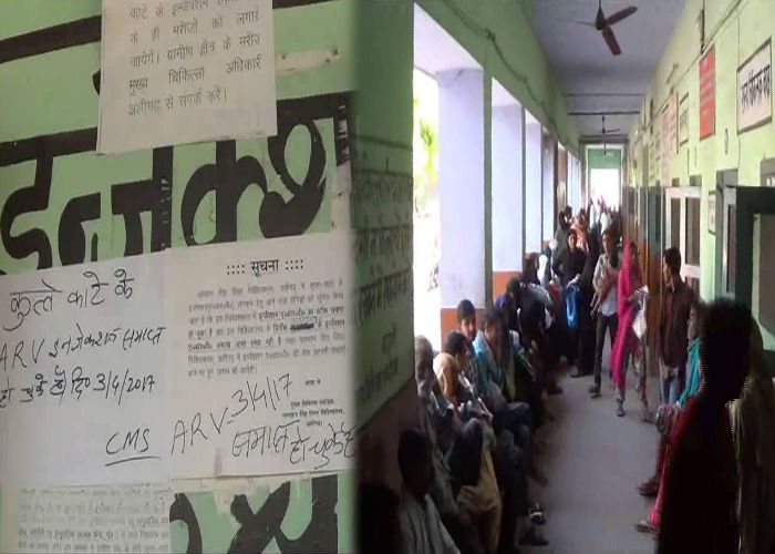 District Hospital जिला अस्पताल में नहीं है एंटी रेबीज इंजेक्शन, मरीज हो रहे परेशान