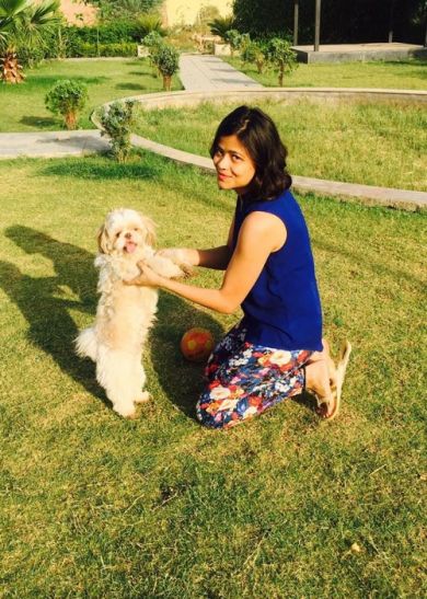 Extra Care of Pets in Summer समर में पेट्स की करें एक्स्ट्रा केयर