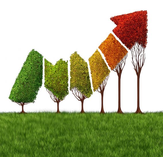 Investment इन वित्तीय प्रोडक्ट्स में निवेश से बिना जोखिम मिलेगा बेहतर रिटर्न