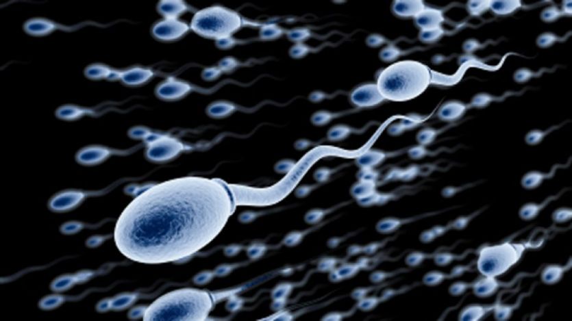 Sperm अगर आप हैं संतान से महरूम तो इस नुस्खे को अपनाएं और संतान सुख पाएं