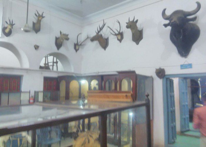 Now the vultures going extinct in the city नया रूप लेगा नगर निगम संग्रहालय