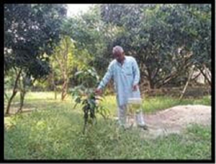 Farmer Sudhakar बागवानी के लिए छोड़ी नौकरी, आज किसानों के लिए प्रेरणास्त्रोत बने सुधाकर
