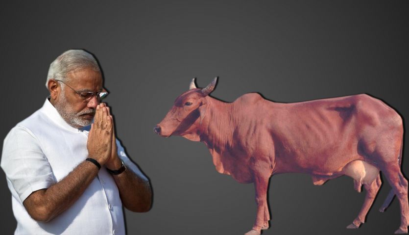 PM Narendra modi With Cow मोदी सरकार के खिलाफ सड़क पर उतरने की तैयार कर रहा यह हिन्दू संगठन