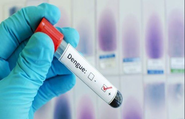 Dengue patients डेंगू के मरीज खुद न लें दर्द निवारक दवाएं