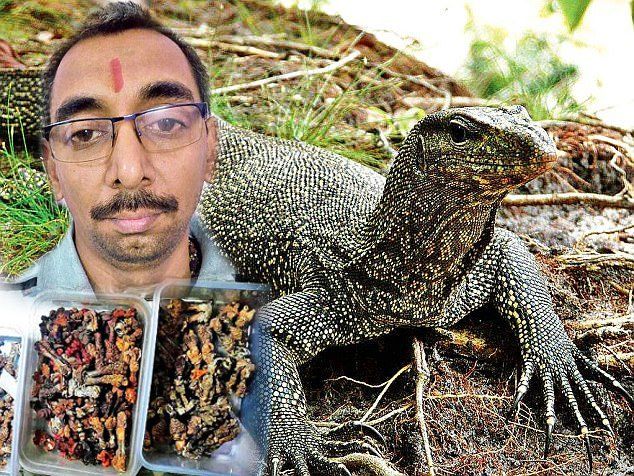 mp racket मर्दों में सेक्स पॉवर बढ़ाते हैं ये जानवर, मंदिर के पुजारी ने ही कर दिया ये घिनौना काम