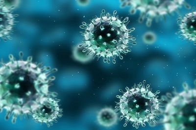 virus detected bhopal ग्वालियर के खतरनाक वायरसों की जांच अब भोपाल में