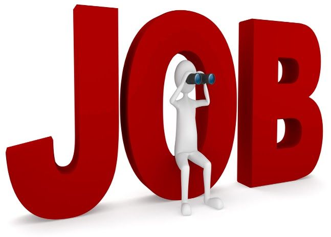 job opening यहां निकली हैं इन पदों के लिए वैकेंसी, ऐसे करें APPLY
