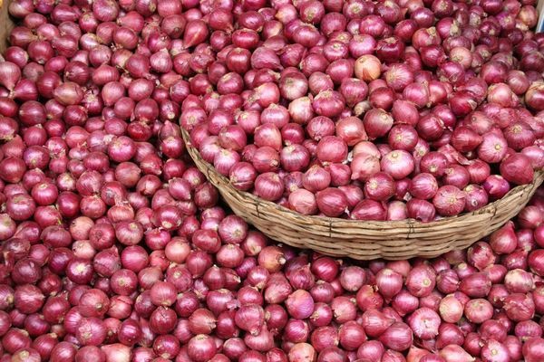 महाराष्ट्र से ला रहे सस्ता प्याज सरकार को टिका रहे महंगा