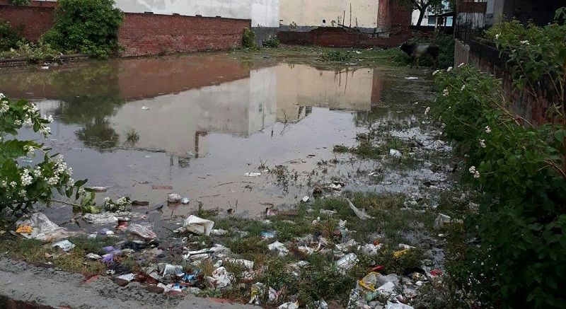 Rain कहीं पर तेज हवाओं के साथ झमाझम तो कहीं पर बूंदों के लिए तरसे लोग
