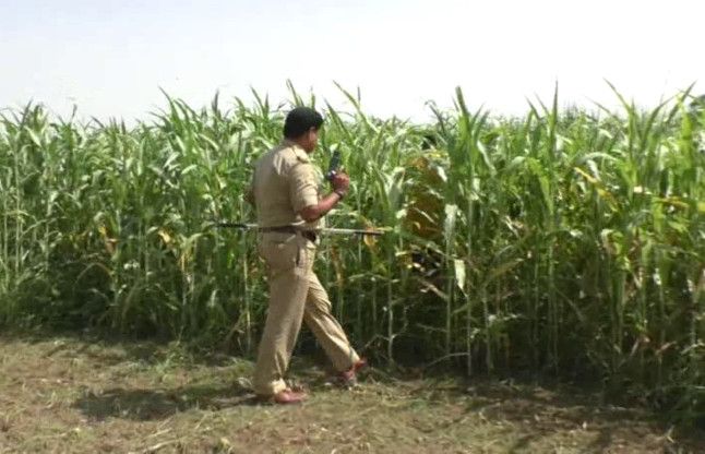 Hapur लाइव एनकाउंटर: हापुड़ में पुलिस और बदमाशों के बीच मुठभेड़, एक बदमाश ढेर