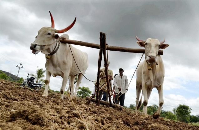 goverment waive one lakh rs किसानों का 1 लाख रुपए तक का कर्ज माफ करेगी सरकार