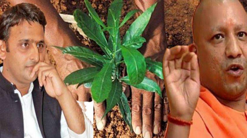 6 Crore Plants Planting in UP अखिलेश सरकार से एक करोड़ ज्यादा पौधे लगाएगी योगी सरकार, किसानों से लेगी मदद