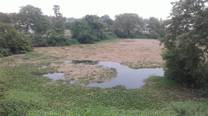 Matysa Vihar दुर्दशा : कभी इस सरोवर में चलती थी नौकाएं आज बन गया गंदा नाला