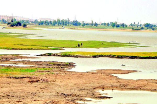 ???? ??? ??????? ?? ?????? घटने लगा तालाबों का जलस्तर