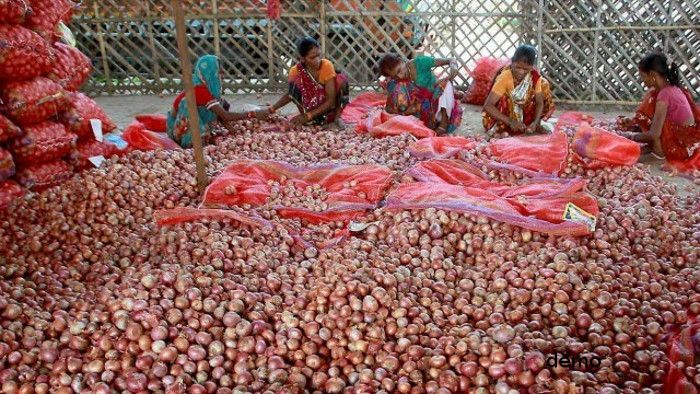 price fall centre to procure onions in mp, onion p देखिये दो रुपए किलो वाली प्याज कैसे आपको 10 रुपए मिल रही- देखें वीडियो