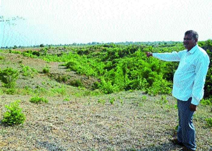 transport जहां पहुंच नहीं सकते जिम्मेदार, वहीं ट्रांसपोर्ट नगर बनाने की तैयारी