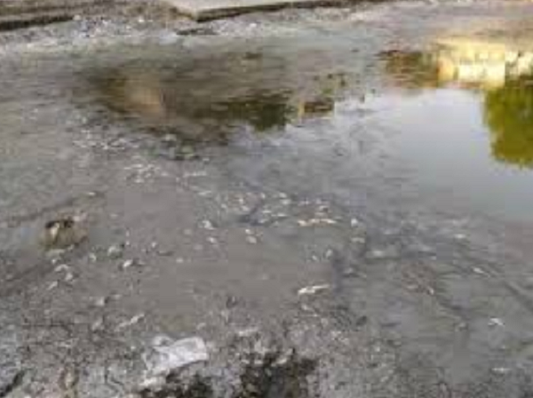 Pond गर्मी से तालाब में मरी हजारों मछलियां