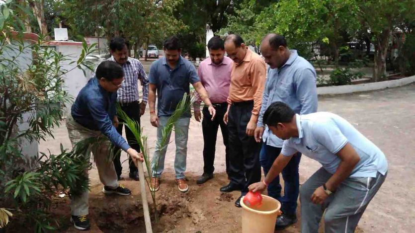 chhatarpur news sagar news पर्यावरण संतुलन के लिए पौधरोपण जरूरी- कलेक्टर