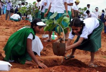 Punjab government will distribute 25 lakh plants free for environmental balance पर्यावरण संतुलन के लिए 25 लाख पौधे मुफ्त बांटेगी पंजाब सरकार