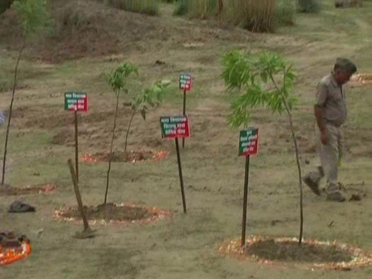 Van Mahotsav मंत्री को गुमराह कर दो- दो मीटर में लगा दिया गये दर्जन भर पौधे
