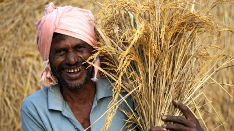 farmer किसानों की कर्ज माफी समस्या के लिए तहसीलों में बनेगा कन्ट्रोल रूम