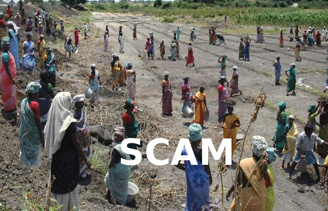 IAS officer guilty in MGNREGA scam मनरेगा घोटाले में दोषी आईएएस
ने अधिकारियों नहीं की अपील