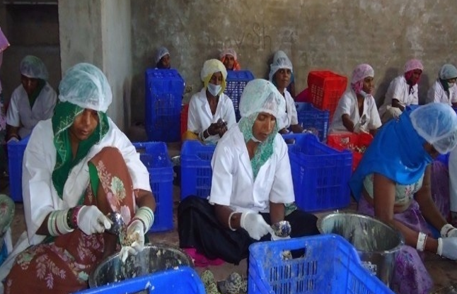 Four illiterate tribal women become millionaire मिसालः चार आदिवासी महिलाएं कभी सड़क पर बेचती थीं फल, आज करती हैं करोड़ों का कारोबार