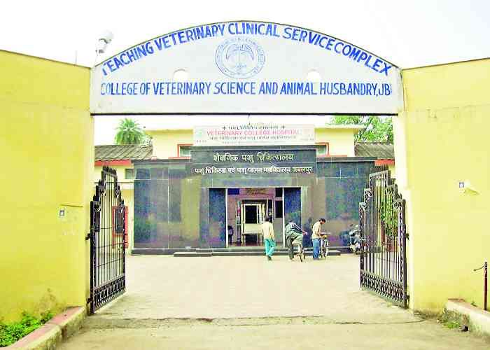 VU यहां बनेगा एमपी का पहला फार्मर ट्रेनिंग सेंटर, किसानों को मिलेगा अत्याधुनिक प्रशिक्षण