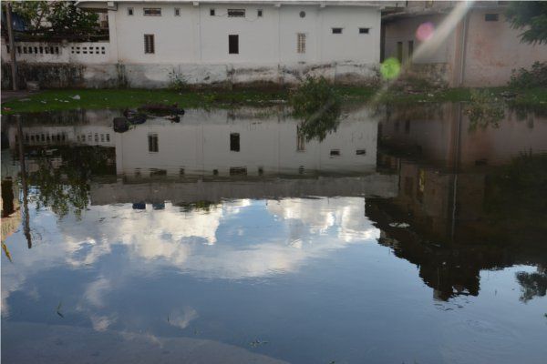 The people suffer from the absurdity of the munici नगरपालिका की बेरुखी से जनता त्रस्त