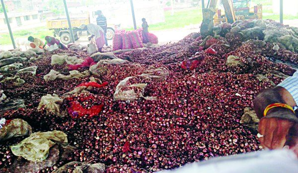 300 Metric Quintel Government Onion Bad 300 मीट्रिक क्विंटल सरकारी प्याज खराब, गरीबों को नहीं मिले दर्शन