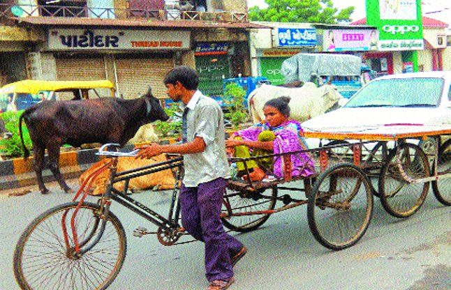 ahmedabad हादसों को न्यौता देते भटकते मवेशी