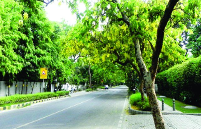 surat आठ वाटर वक्र्स बनेंगे हरियाली का मॉडल