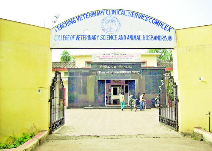 Veterinary देशभर में 7वें पायदान पर आया वेटरनरी यूनिवर्सिटी