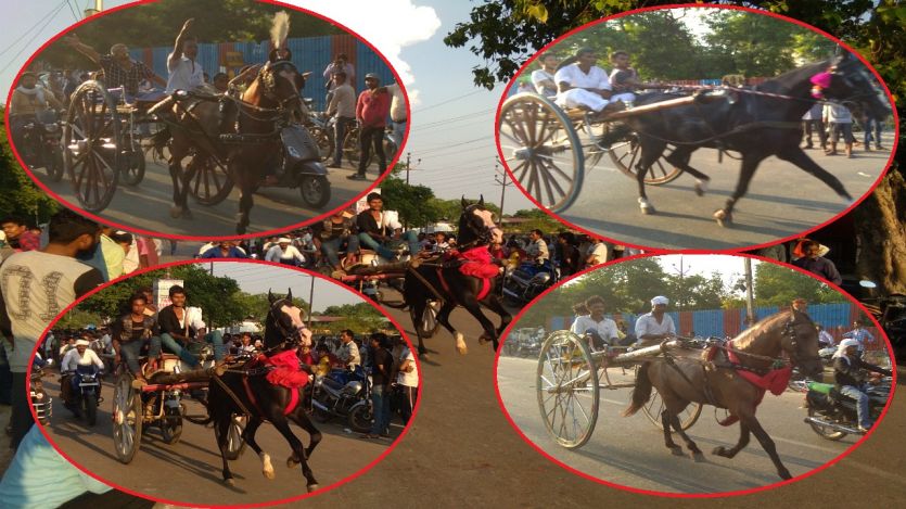 Allahabad Chariot Race इलाहाबाद में हुई यूपी की सबसे बड़ी इक्का दौड़, महोबा का घोड़ा बना सुल्तान
