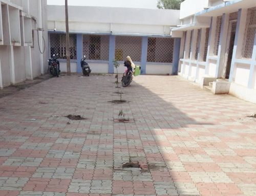 seoni भगवान भरोसे जिला अस्पताल के पौधे