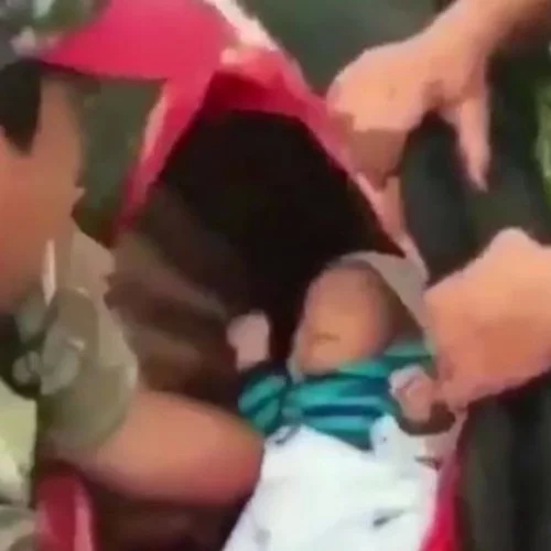 Newborn baby Kept Inside Dead Animal Stomach शर्मनाक: पहले जानवर का चीरा पेट, फिर नवजात बच्चे को उठा कर जानवर के फटे हुए पेट में डाल दिया