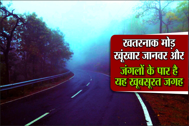 janapav खतरनाक मोड़, खूंखार जानवर और जंगलों के पार है यह खूबसूरत जगह