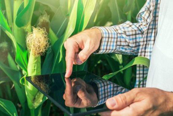 new app for mp farmers, agro app launch in mp किसानों की मदद के लिए ऐप लॉन्च, जानें कैसे ले सकेंगे इसका लाभ