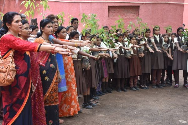 chhindwara किस तरह विद्यार्थियों ने रोप दिए सैकड़ों पौधे, देखें वीडियो
