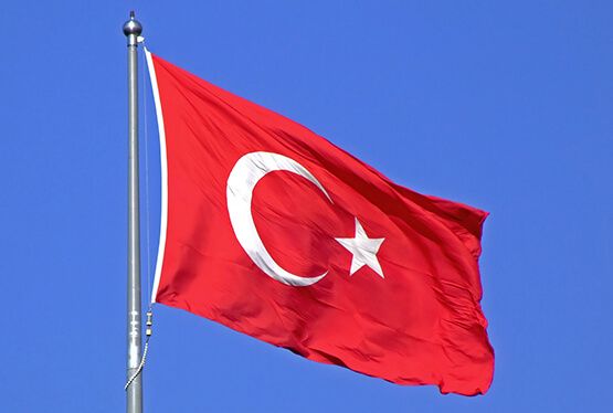 Turkey Flag 6 मानवाधिकार कार्यकर्ताओं को हिरासत में रखें: तुर्की कोर्ट