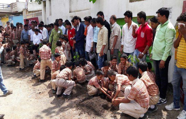 patrika 2 patrika plantation campaign: पर्यावरण संवर्धन और छाया के साथ बड़े होकर इन पौधों से मिलेंगे ये फायदे