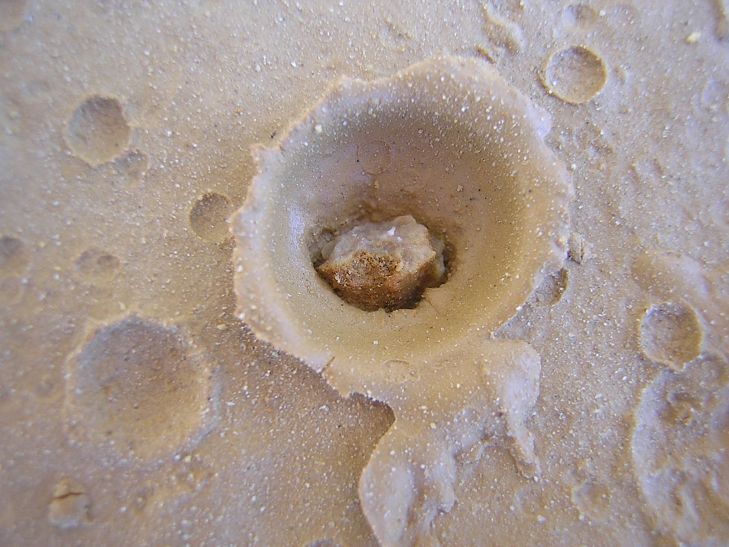 mud makes tiny planets in solar system क्षुद्र ग्रहों से नहीं...कीचड़ से बनी है धरती