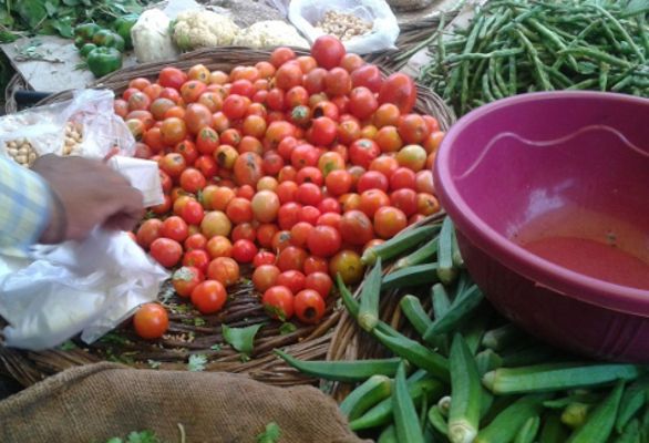 Tomatoes sold at apple price, cost up to Rs 100 / सेब के भाव में बिक रहे टमाटर, 100 रुपए किलो तक पहुंचे दाम