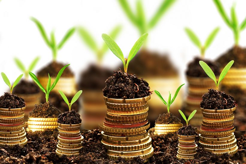 Investment निवेश के दौरान कभी भी न करें ये छह गलतियां