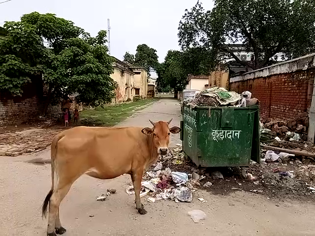 Garbage Spreads दम तोड़ता नजर आ रहा है स्वच्छता अभियान, 15 दिनों से शहर में फैला है कूड़े का अंबार