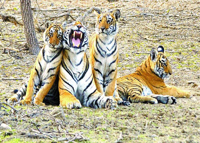 अमर हो गई 'सुंदरी' की प्रेमकथा