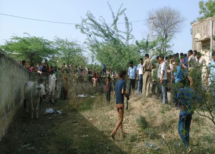 कचरे के ढेर में विस्फोट, गाय हुई जख्मी