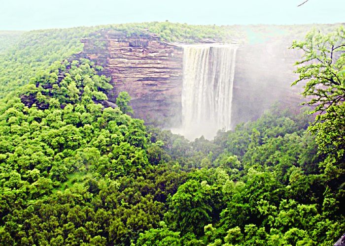 प्राकृतिक हरितमा के आगोश में दमोह